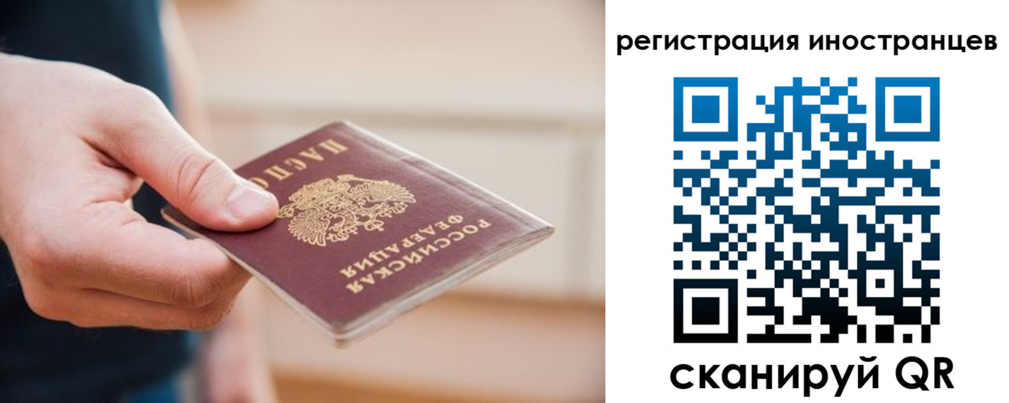 прописка гарантия в Луховицах